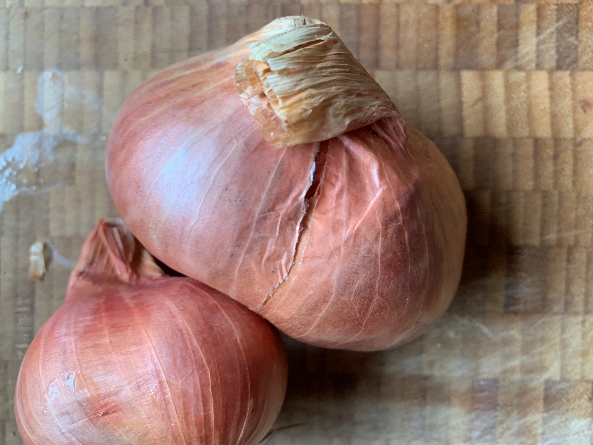 OnionShallot