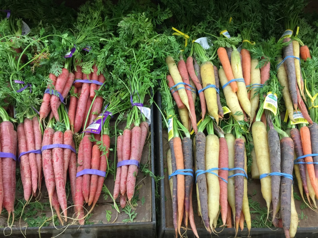 A picture of multicolored carrots: creamy yellow, orange, white, and purple.