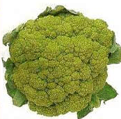 Picture of green cauliflower.