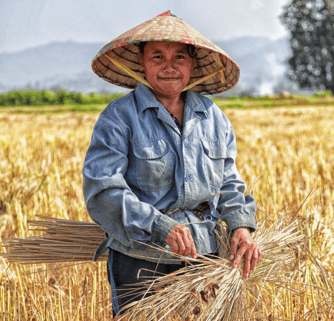 A picture of a woman working in a field.