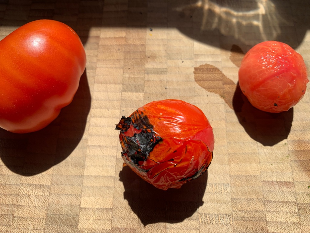 Picture of a tomato, grilled and charred tomato and a tomato without its skin.