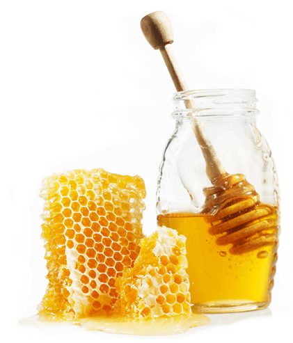 Picture of honey and honey combs.