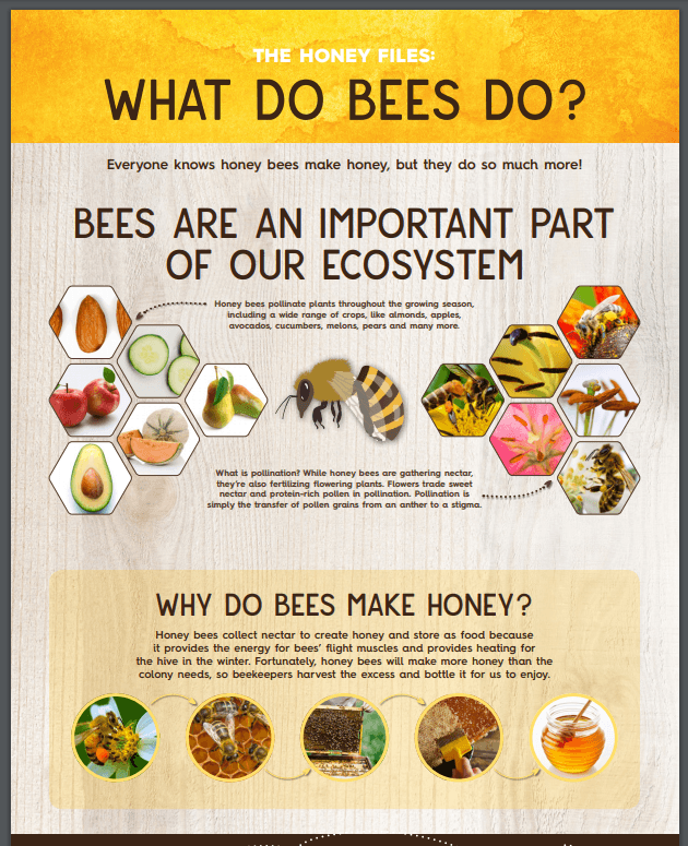 Graphic on what bees do.