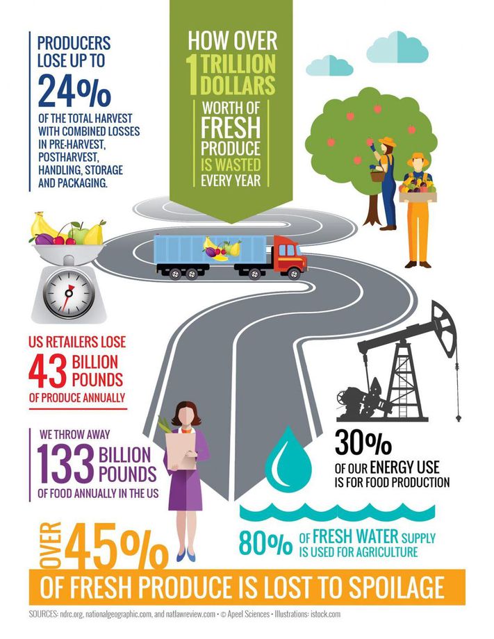 Image result for graphic on how much of waste is food packaging