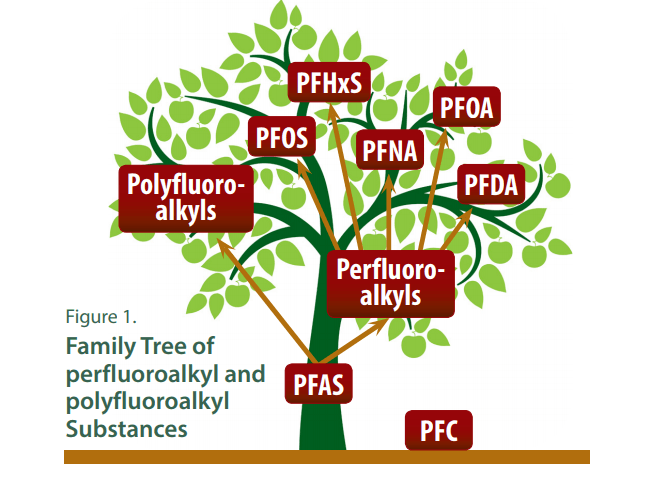 A tree graphic of the relationships between all the PF chemicals.