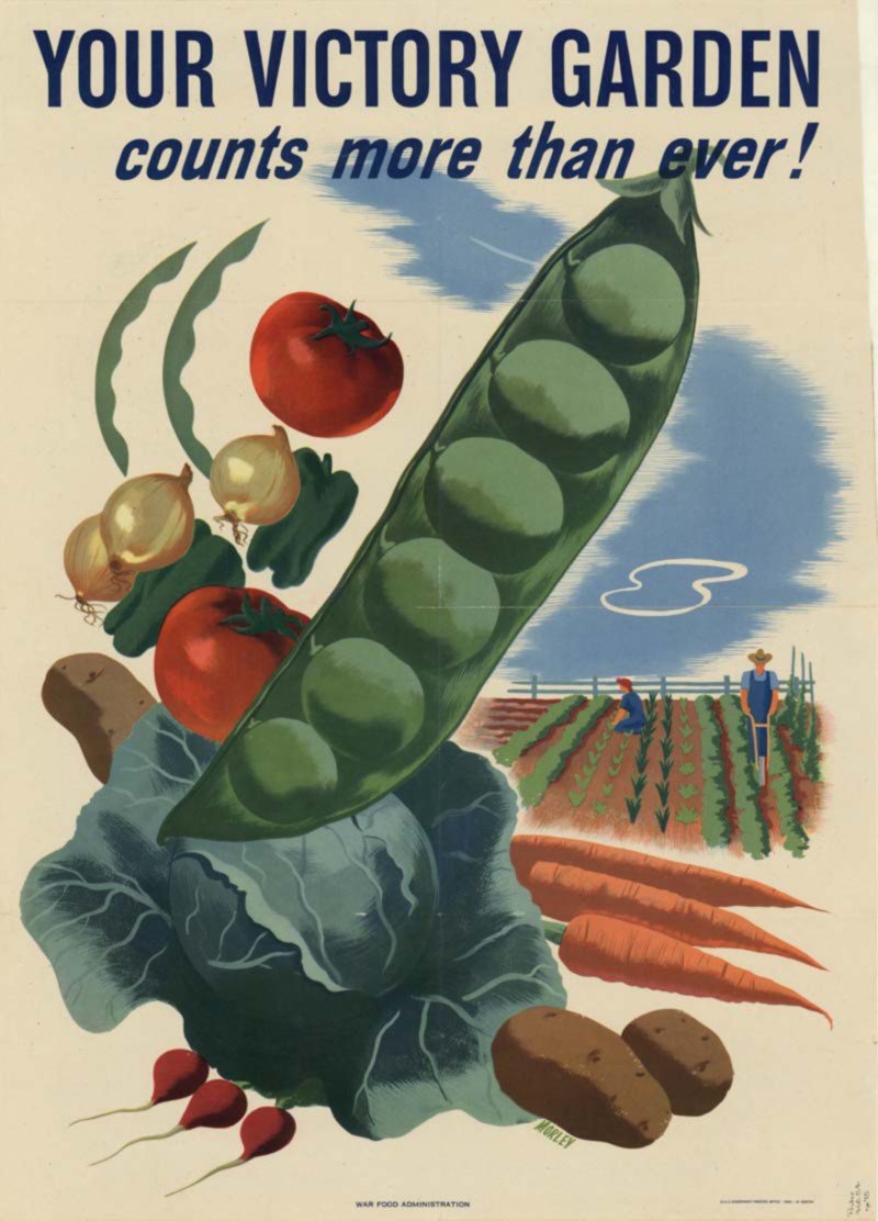 Garden poster, from the 1940’s.