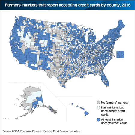 Chart of markets that accept credit cards Vs cash only.