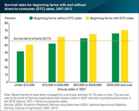 Chart relating selling directly to consumers vs new farms longevity.