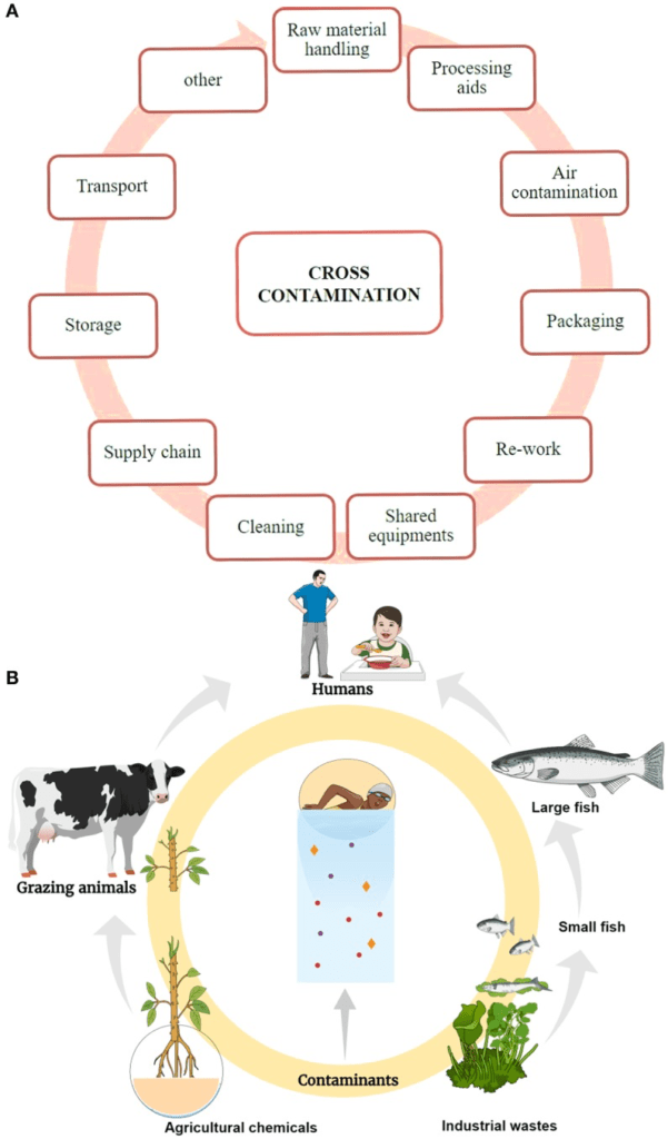 Graphic on sources of food contamianation.