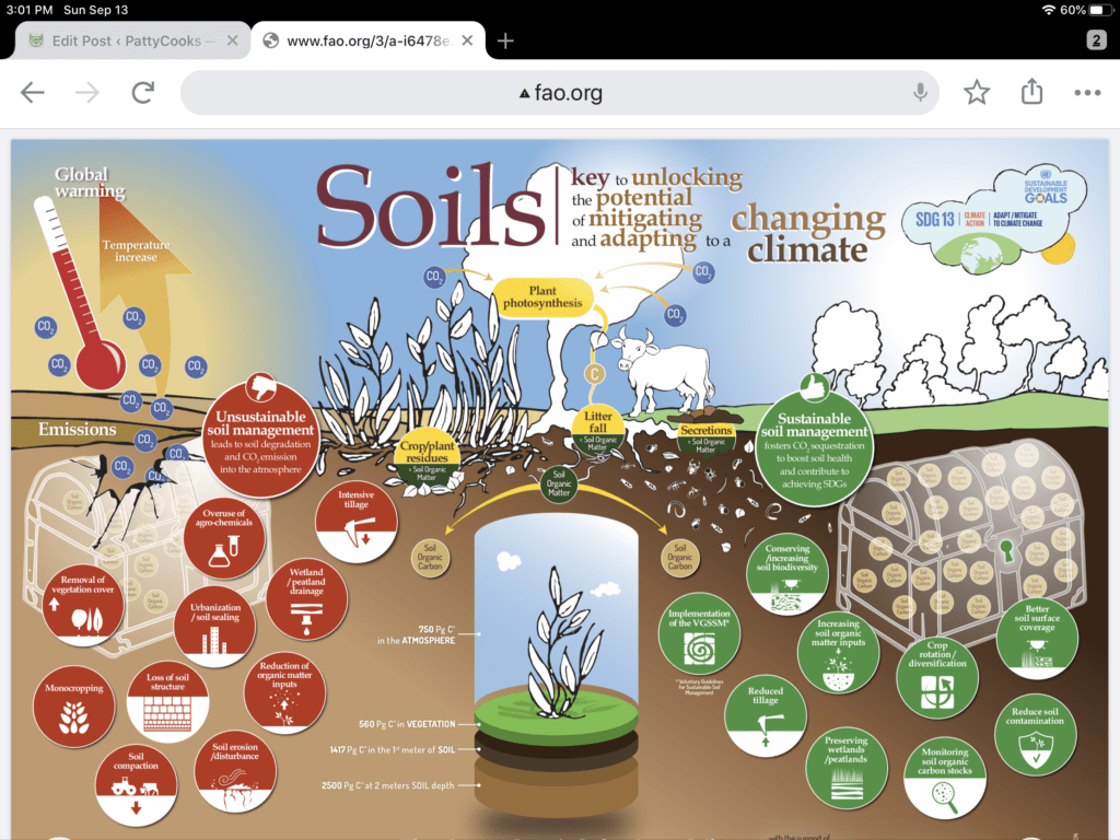 Graphic showing relationship of good soil to climate change.