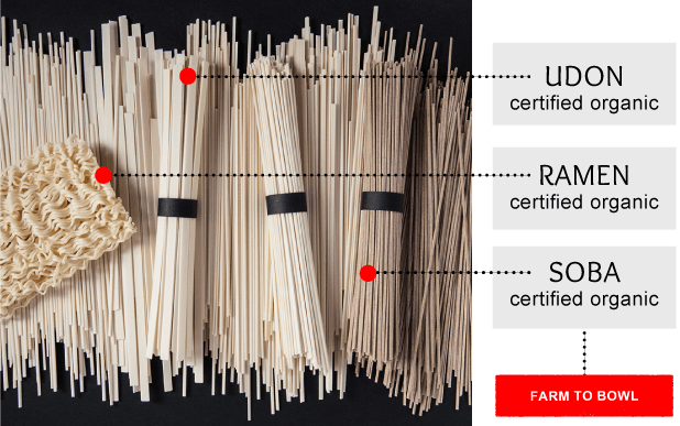 Graphic of noodles, udon, ramen and soba.