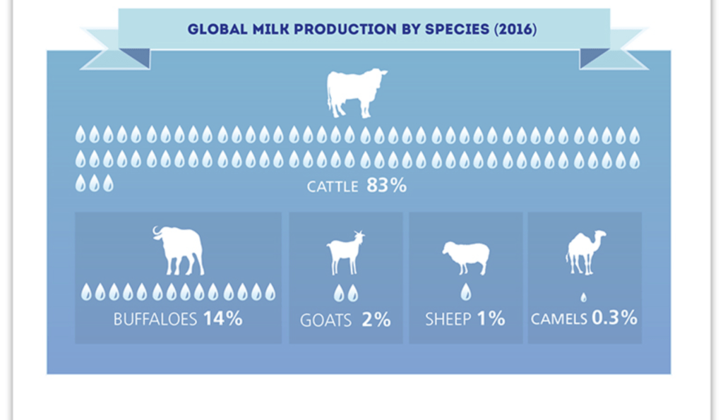 Chart of global milk production by animal species.