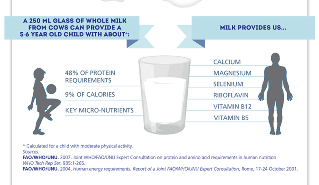 Chart of milk contents.