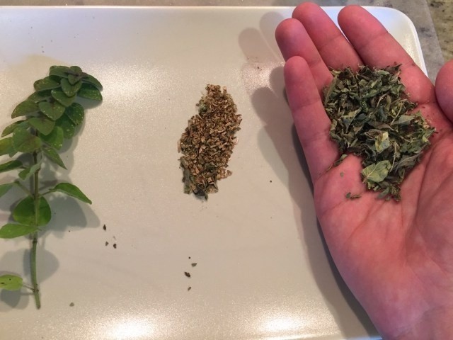 A picture of oregano herb from my garden, a clump of dried herb from the store, and a handful of my own dried herb.