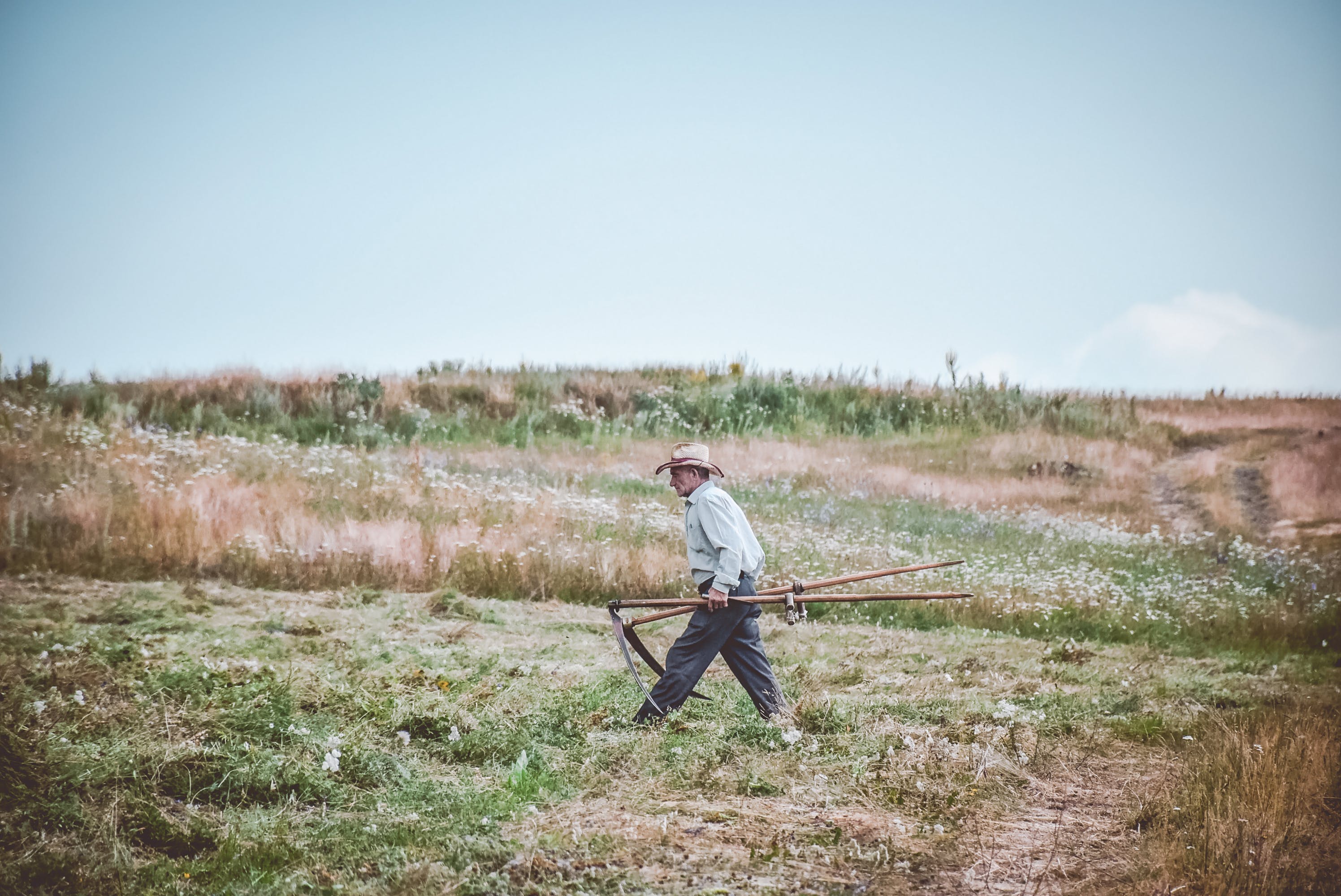 Man Walking On Farm