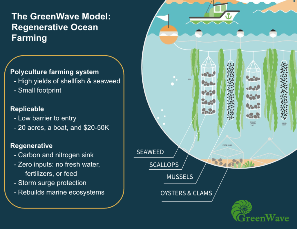 A chart detailing regererative ocean farming.