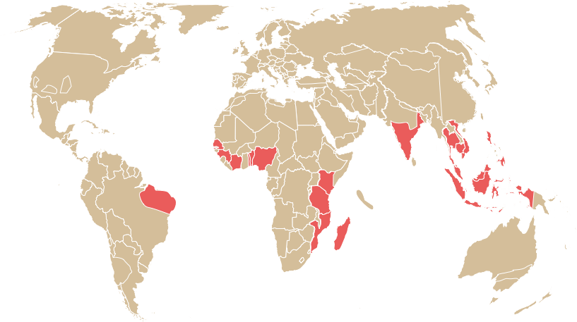 Photo of map where cashews are grown.