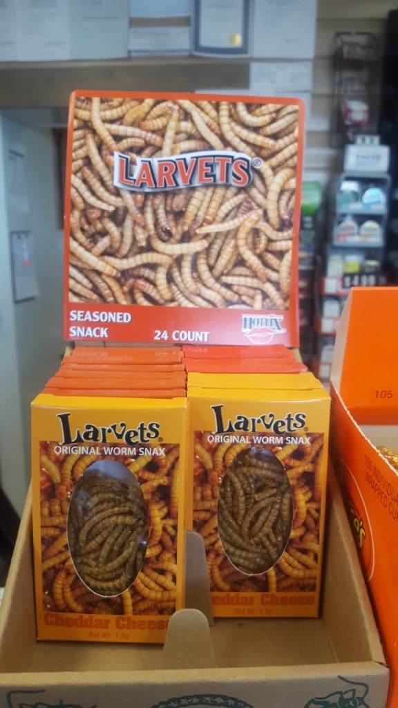 A display case of the dried Larvets in the store.