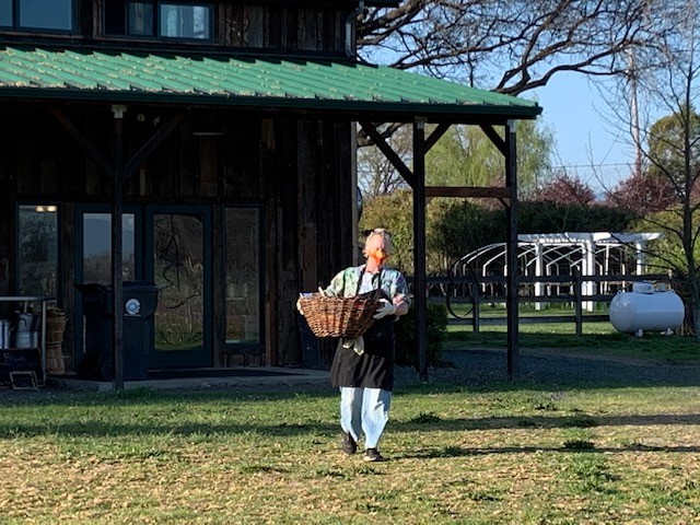 Chef and owner Tammy bringing us our breakfast from the catering kitchen located in a corner of the barn.