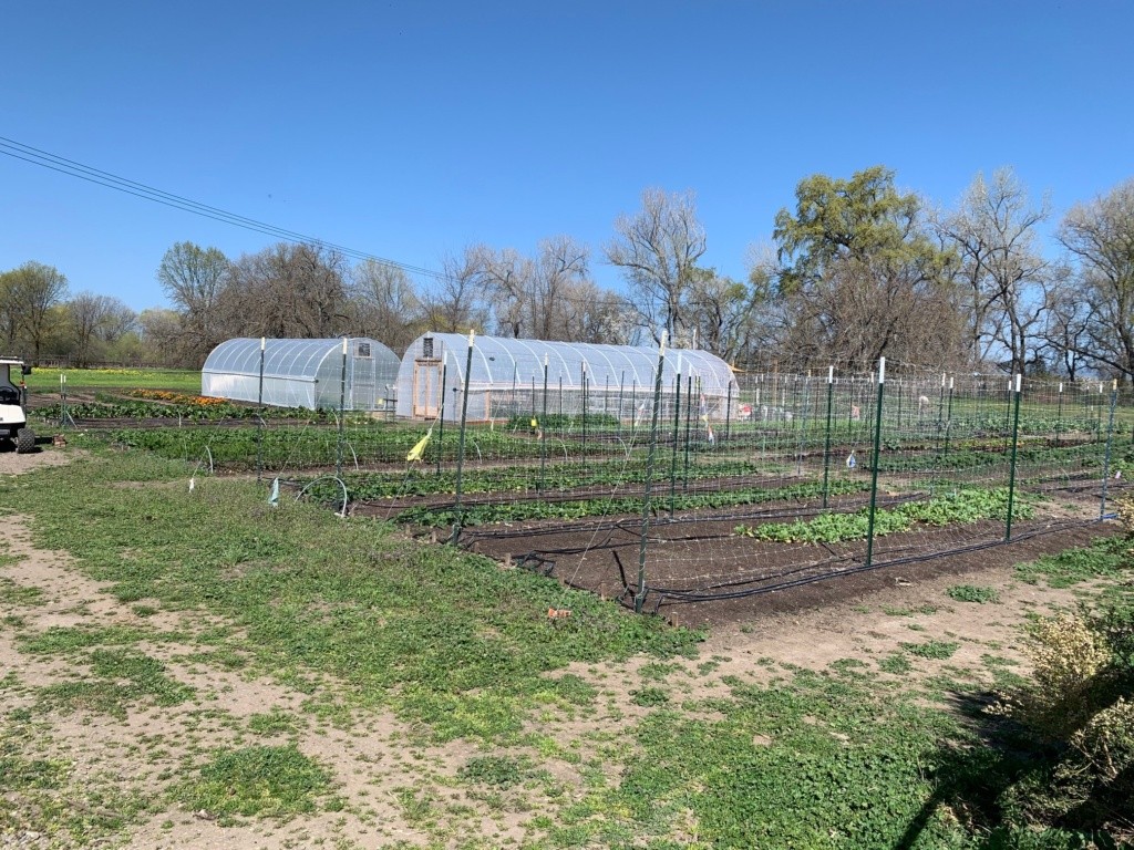 A photograph of the farm with crop rows, and greenhouses.