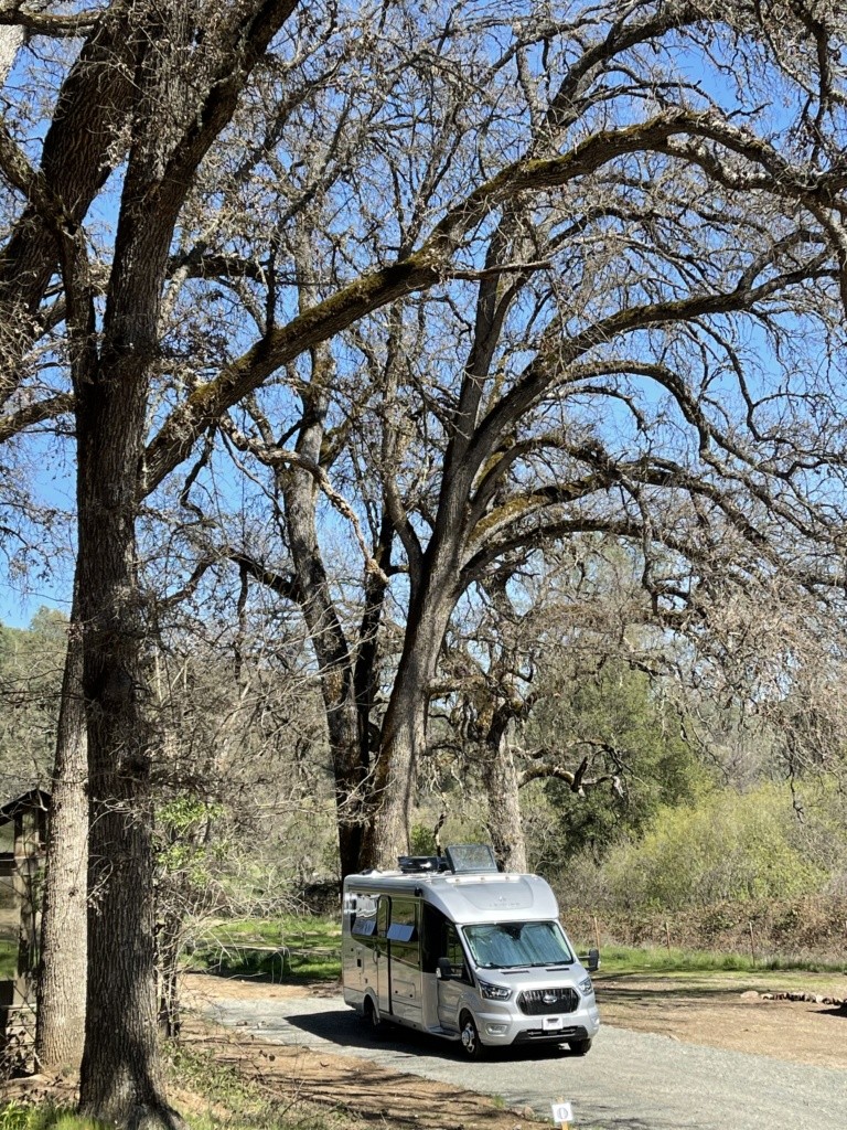 Our RV under very tall trees.