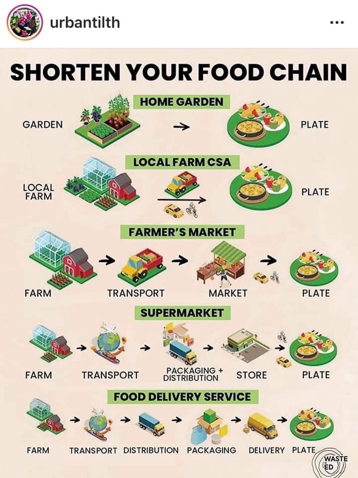 A graphic showing food chains, depending upon where you get your food.