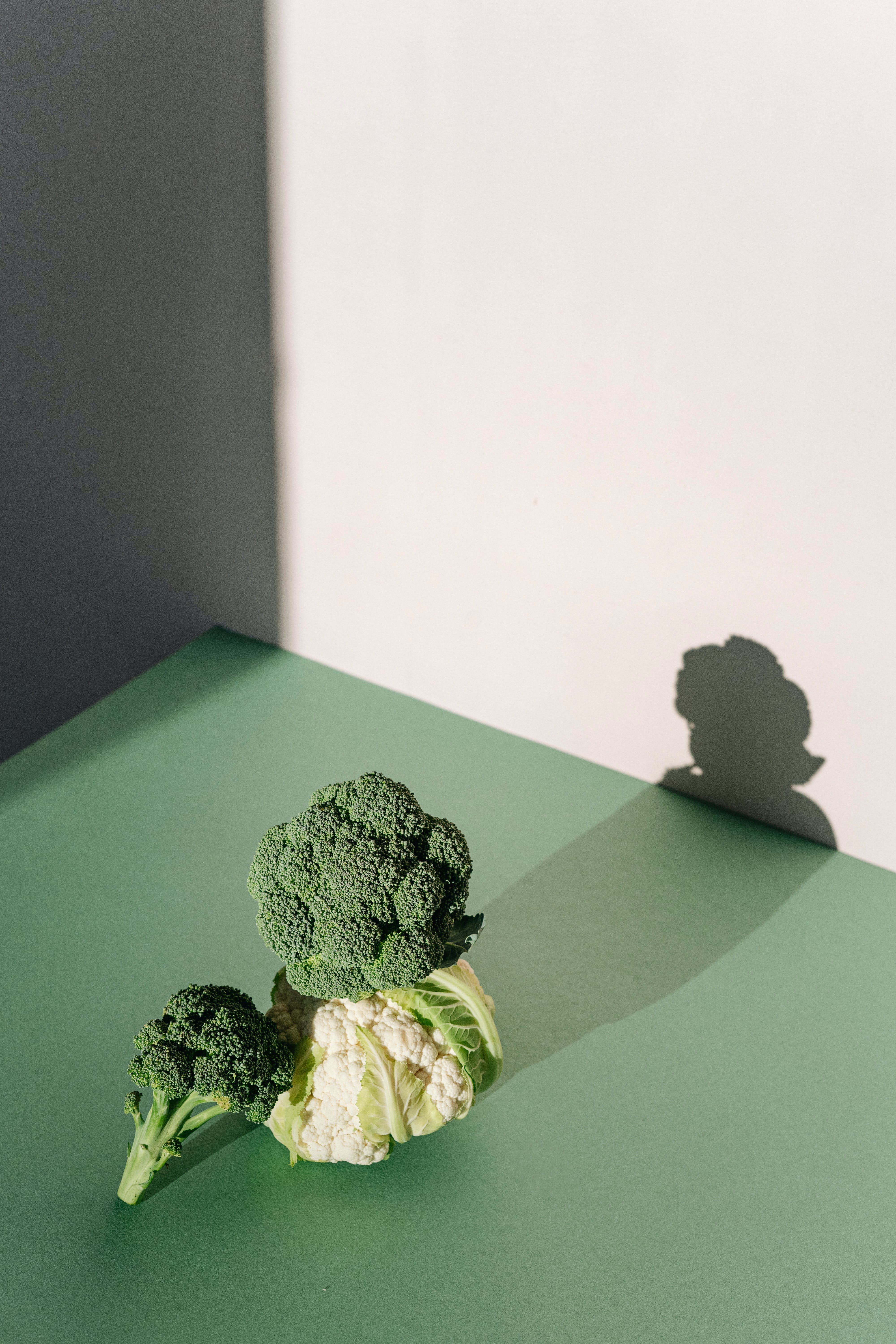 Green Leaf on Green Table